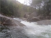 Wilsons Creek 116